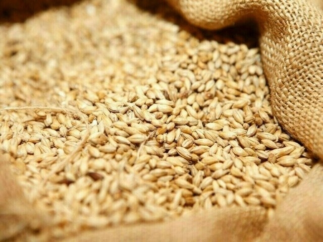 EU wheat rebounds