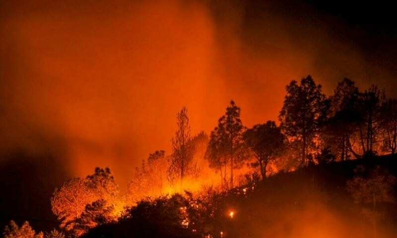 Climate crisis demands collective action