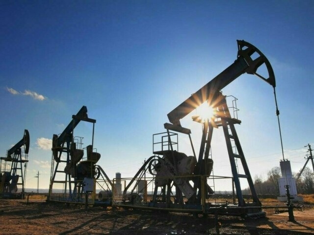 Aurangzeb-led body to monitor oil price impact