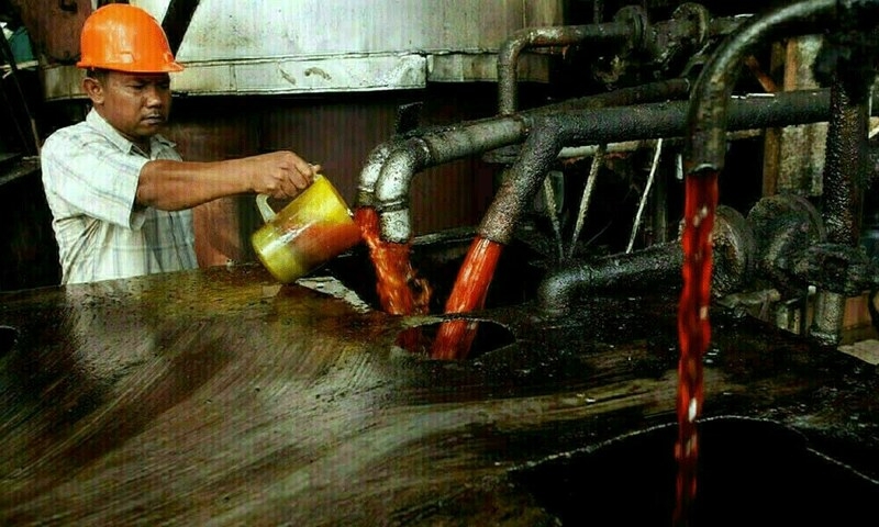 ‘Palm oil remains cornerstone of Pakistan's edible oils and fats sector'