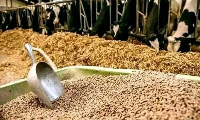 Seminar on enhancing Pakistan's fodder export held