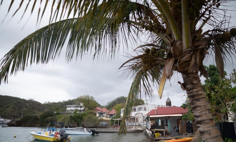 French scientists find new blood type in Guadeloupe woman