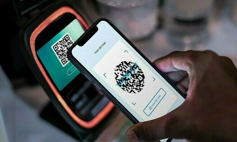 Spending via online apps: Pakistanis spent over Rs317bn in FY25, NA panel told