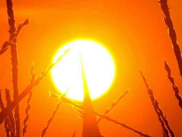 Cold baths, climate shelters as Southern Europe heatwave intensifies