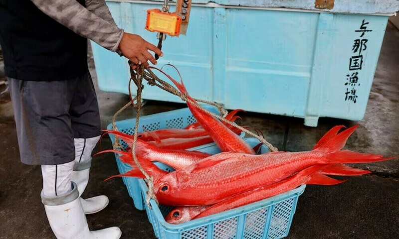 China resumes qualified seafood imports from some Japan regions
