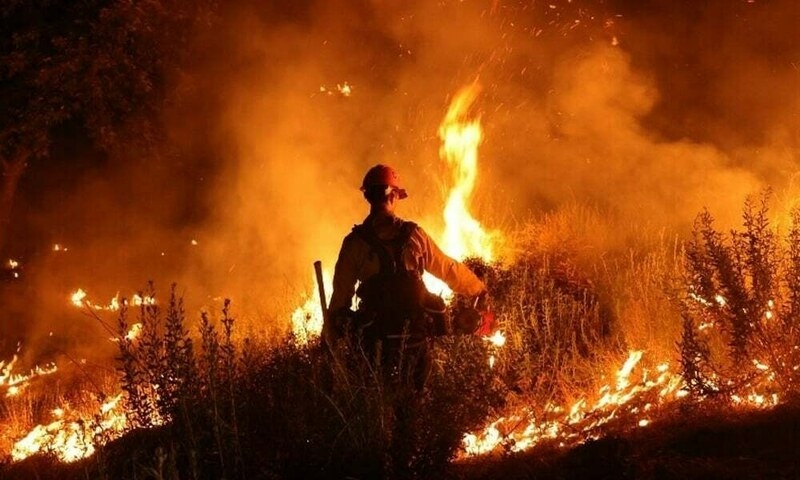 Fires break out and most of France put on heatwave alert