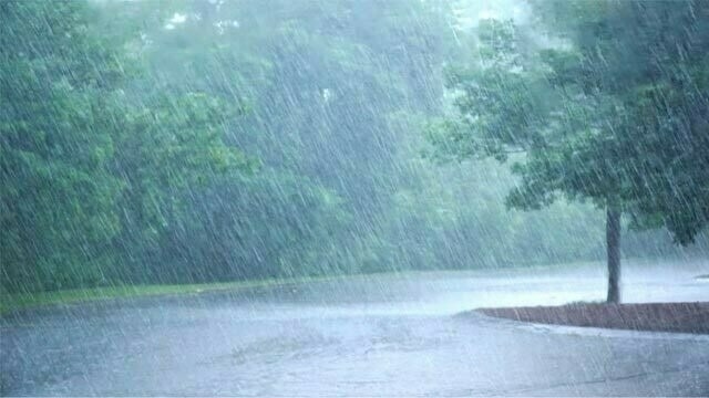 Punjab activates monsoon emergency plan as heavy rain lashes Lahore
