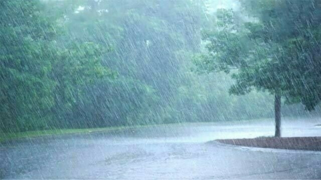 CM monitors post-rain situation
