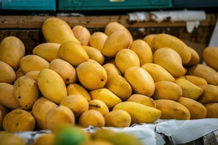 All types of mangoes for current season: FBR fixes new customs/export values