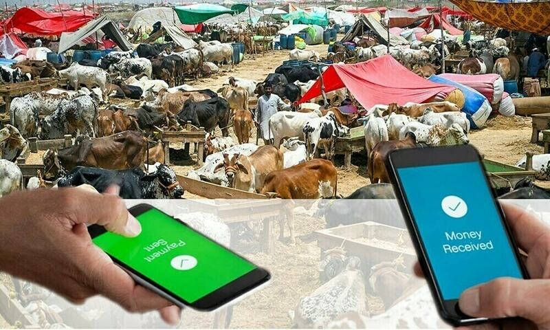 64,553 cashless transactions recorded in cattle markets