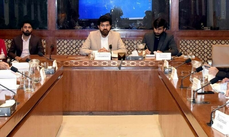 18,000 Pakistanis languish in foreign prisons: Senate body criticise ministry's half-baked efforts