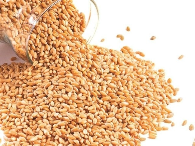 EU wheat rises, supported by high Russian prices