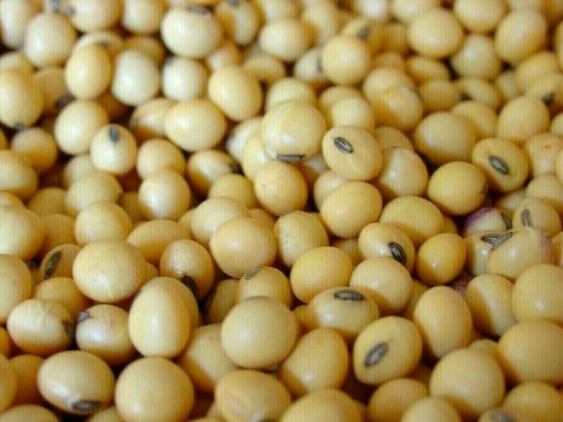 Soybeans rise after Trump says he wants China to buy more US beans