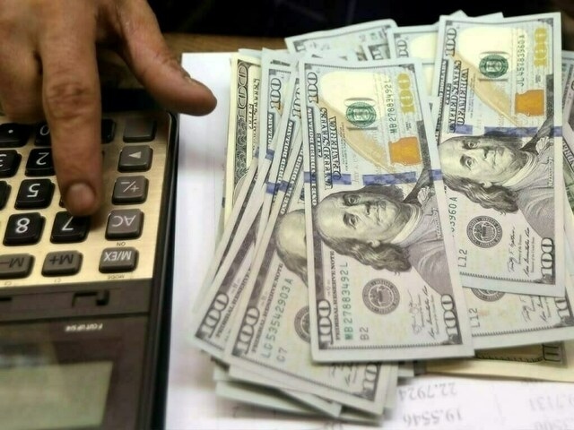 Heavy external debt hurting economy: PDP