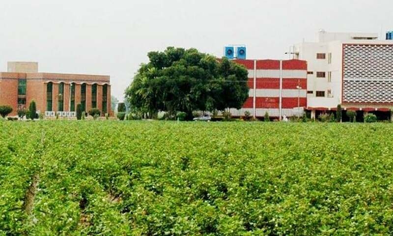 Chinese team visits Cotton Research Institute