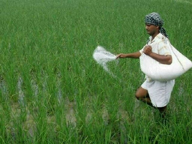Fertilizer sector: CCP targets cartelisation