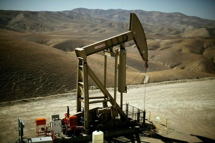 Lower prices, gas glut weigh on POL's FY25