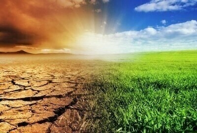 ‘Pakistan needs $50bn annually to mitigate to climate risks'