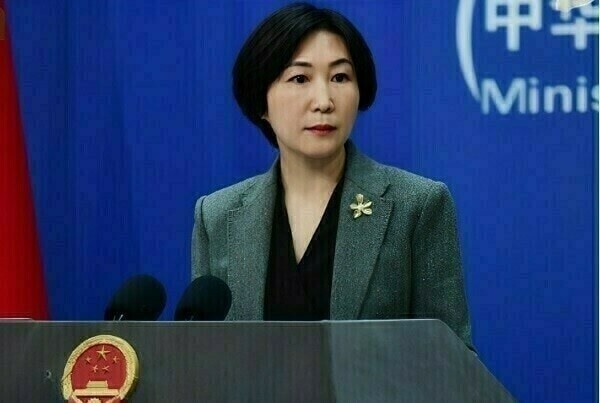Sino-Pak high-level exchanges distinctive feature of ties: Mao