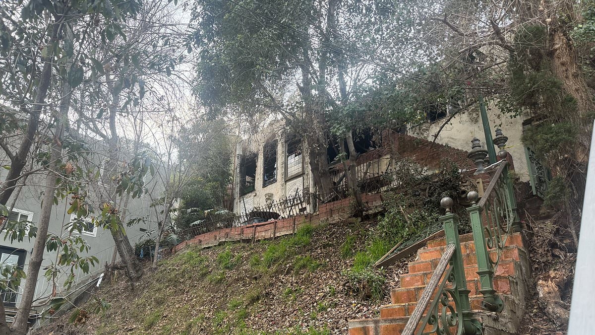 EXCLUSIVE Awful freak accident that killed 'Rothschild heir' at Los Angeles home revealed