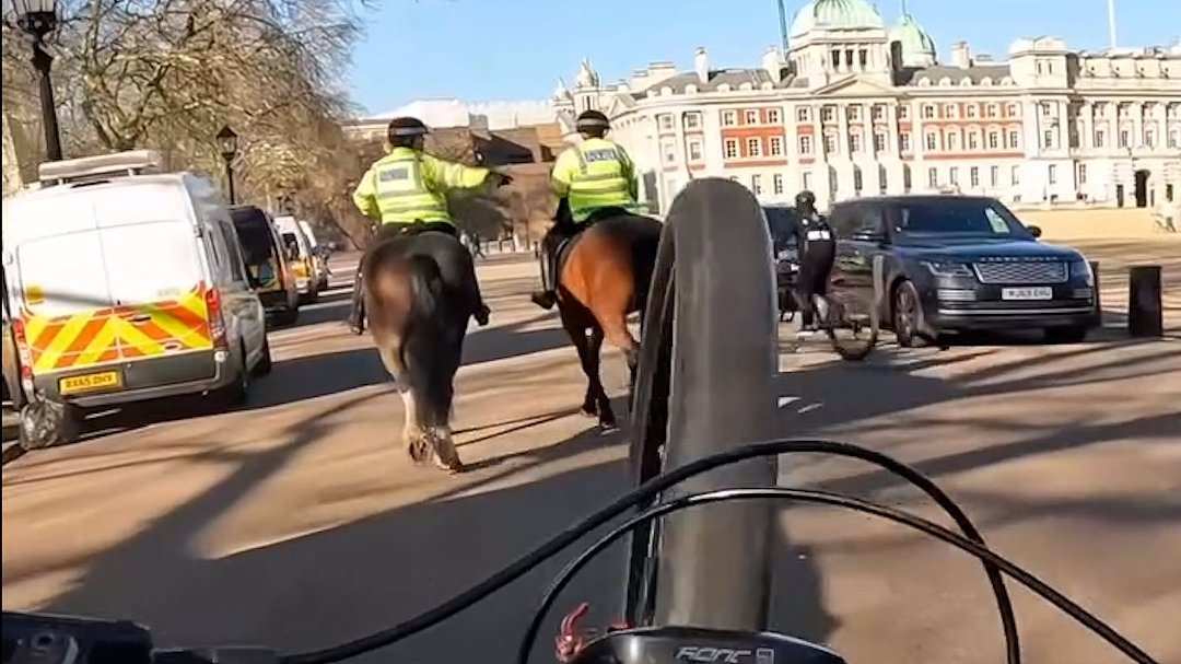 EXCLUSIVE The cycling wheelie craze that's terrorising London streets: How gangs of brazen teenage riders are causing rush-hour chaos with their reckless stunts for social media clicks
