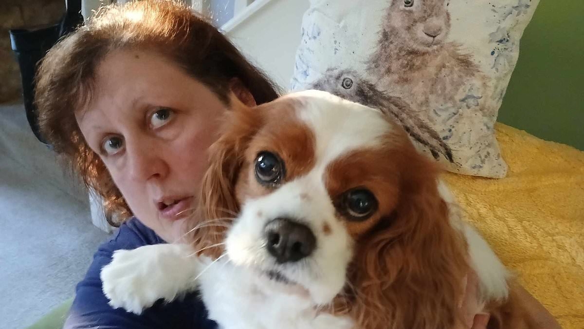 EXCLUSIVE Desperate pet owners are turning to this £100-a-month arthritis injection but there are fears it could KILL their dog