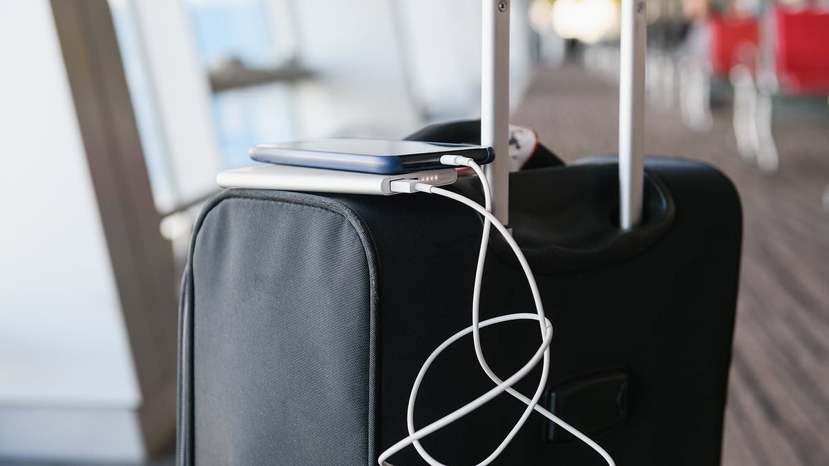 NY firm recalls 430,000 portable power banks over fears they could overheat and catch fire during use