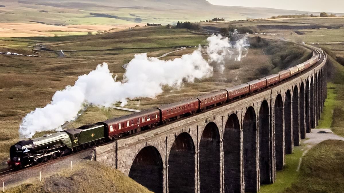 End of the line feared for steam trains after plans to abolish traditional railway 'traffic lights' signals
