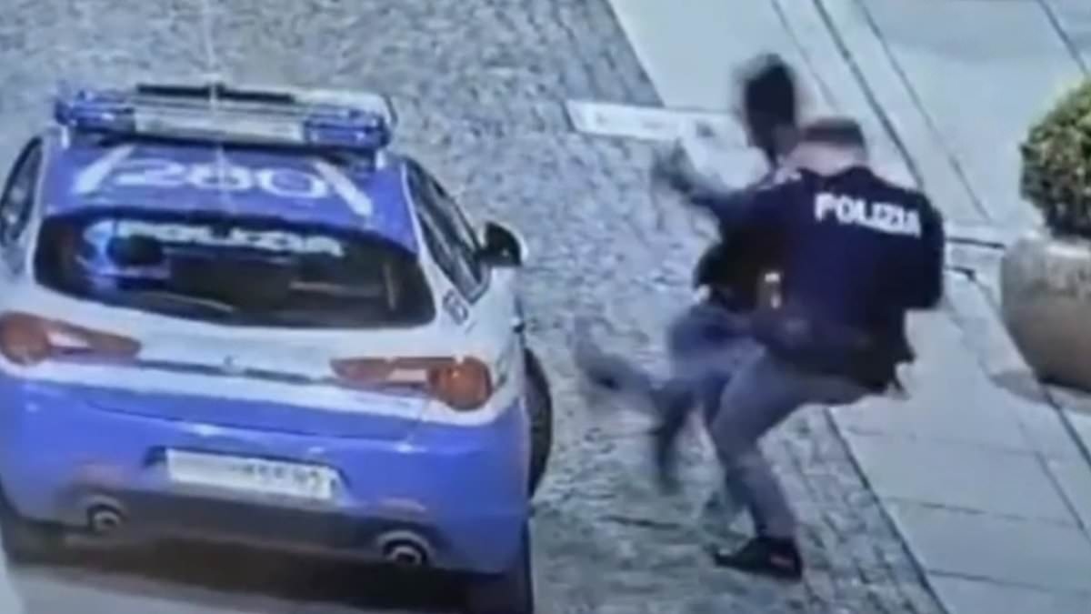 Moment swaggering robbery suspect is brutally taken down by cop after punching police car