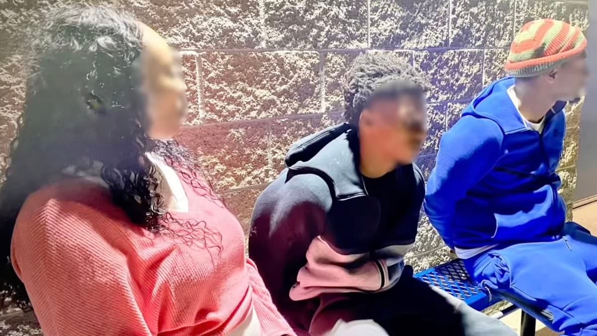 Mom and dad's jaw-dropping idea for family day out ends with handcuffs and jail