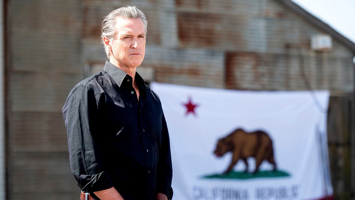 Gavin Newsom fails to give clear answer on democratic party's state