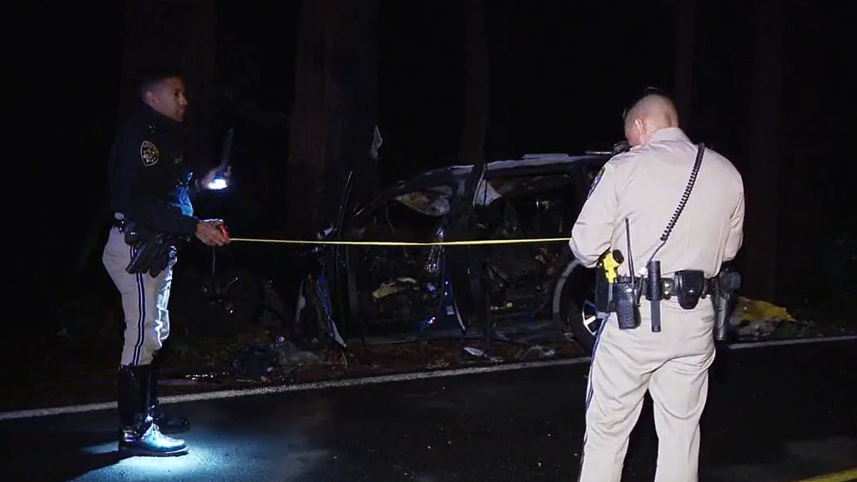 Awful new details about final moments of four girls killed in fireball crash after being 'run off road'