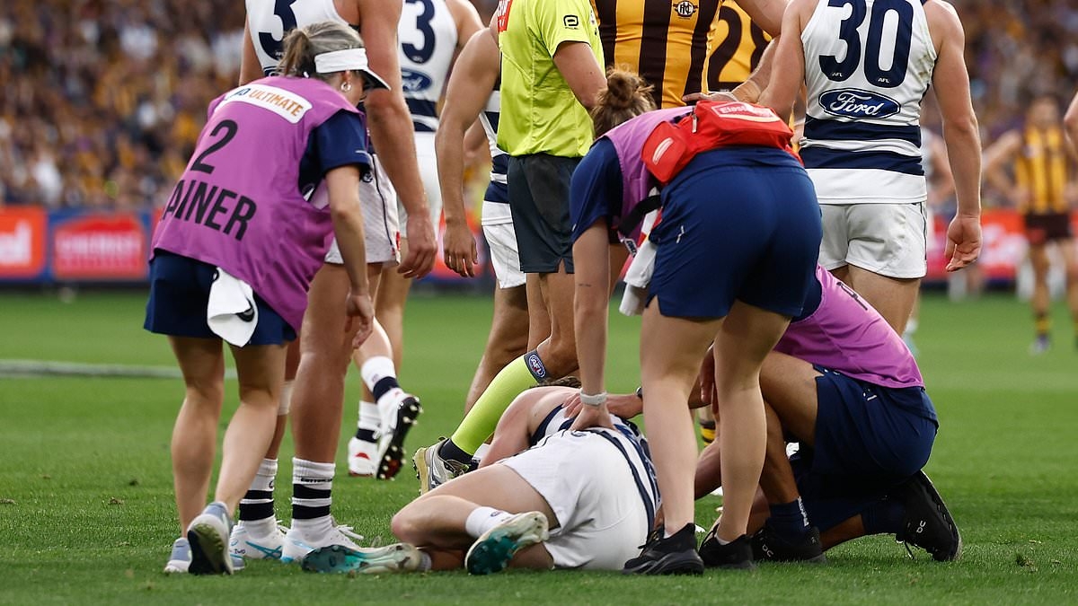 Revealed: The startling text message footy star sent to opponent he knocked out with one of the worst hits the AFL has seen in years