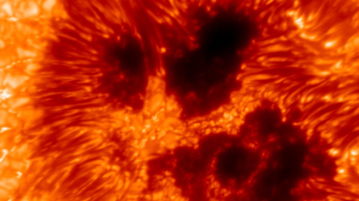 The sun as you've NEVER seen it: Scientists reveal the most detailed photo of our home star yet