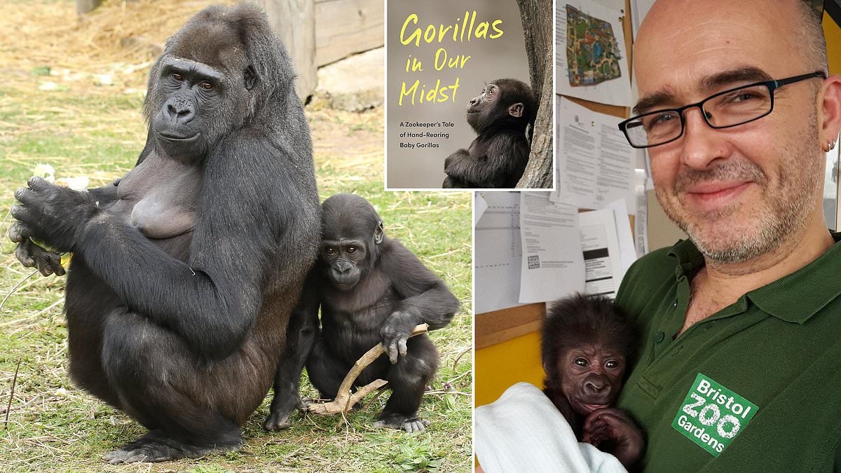 Gorillas in Our Midst by Alan Toyne: So cute! Until a baby gorilla becomes a toddler, that is….