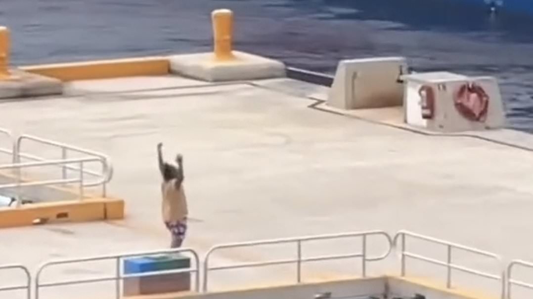 Pier pressure! Hilarious moments cruise ship latecomers miss the boat… as punctual passengers wave them goodbye