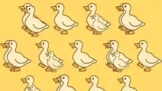How many ducks can you see in eye-boggling optical illusion in 30 seconds