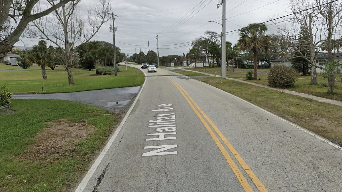 Toddler killed while chasing after family dog into oncoming traffic