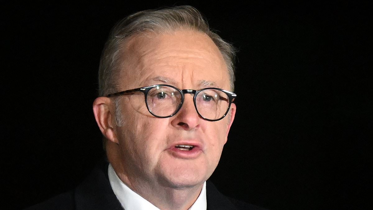 Disrespectful Aussie removed from Dawn Service as Albanese slams extremists as 'cowards'