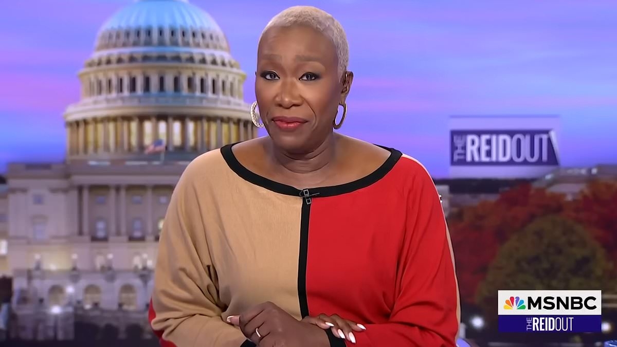 Inside MSNBC's secret plot to get rid of Joy Reid after her woke rants gave bosses 'heartburn'
