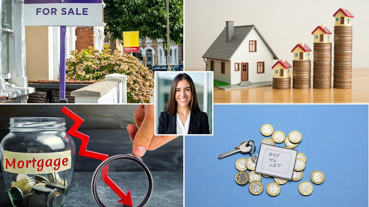 I'm a property expert: Investment advisor Anna Clare Harper says Labour won't build 1.5million homes