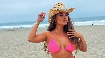 Joy Taylor reveals she needs to have sex 'every day'... weeks after being embroiled in Fox Sports lawsuit