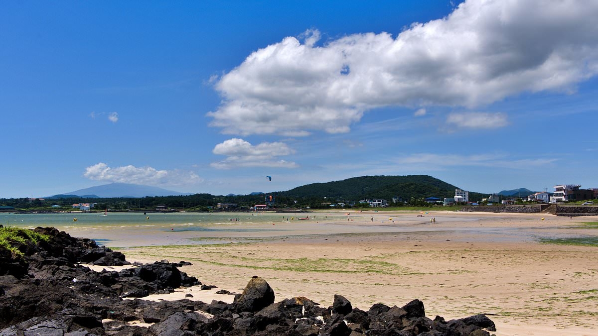 I visited Jeju Island in South Korea, where you can feast with booze for £20 a head and meet 70-year-old women who freedive for a living