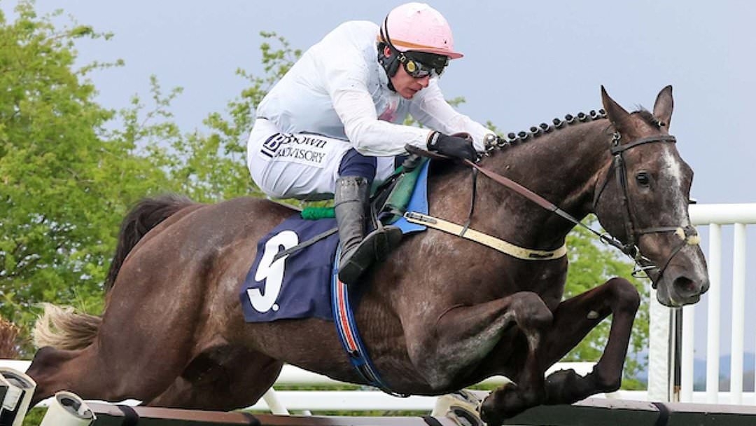 CALUM McCLURKIN: The big betting lesson in this jumps season? Be honest with yourself in victory and defeat