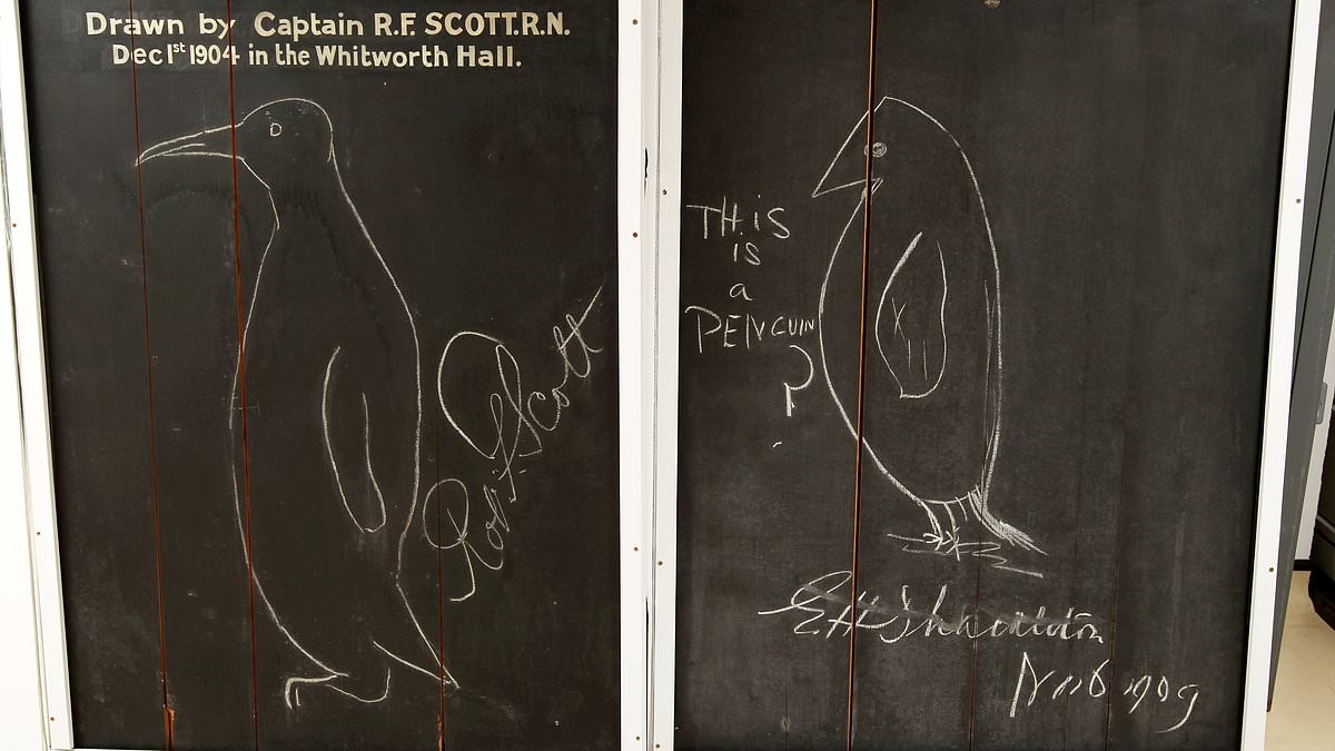 Exploring Antarctic was colonialism, claims Cambridge University (even though only penguins live there)