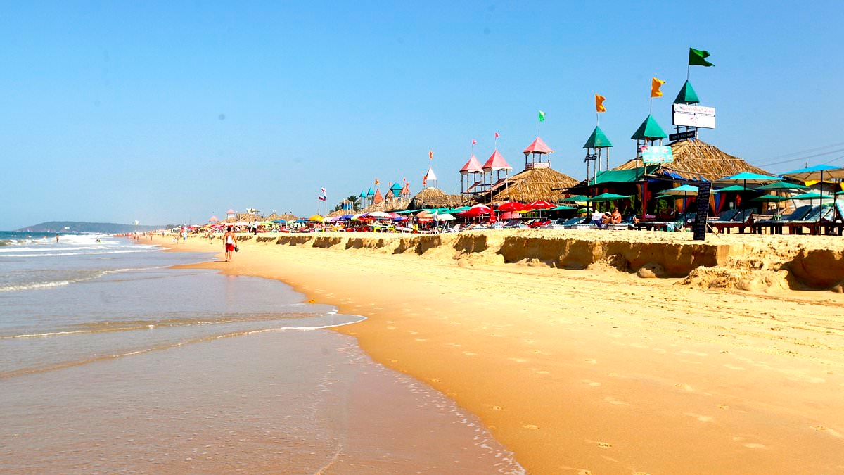 Brit tourist, 86, is killed and his wife severely injured after they were mown down by a car at Indian tourist hotspot