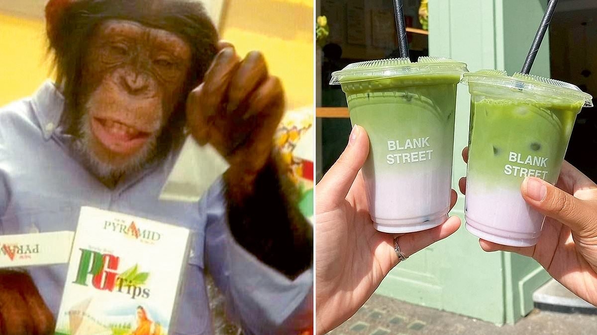 How Gen Z's matcha obsession is causing a crippling global shortage
