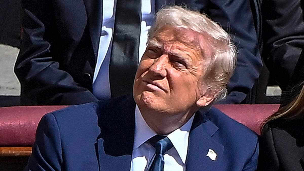 EXCLUSIVE Donald Trump and Brigitte Macron 'broke etiquette rules' with their outfits at Pope Francis' funeral, expert claims