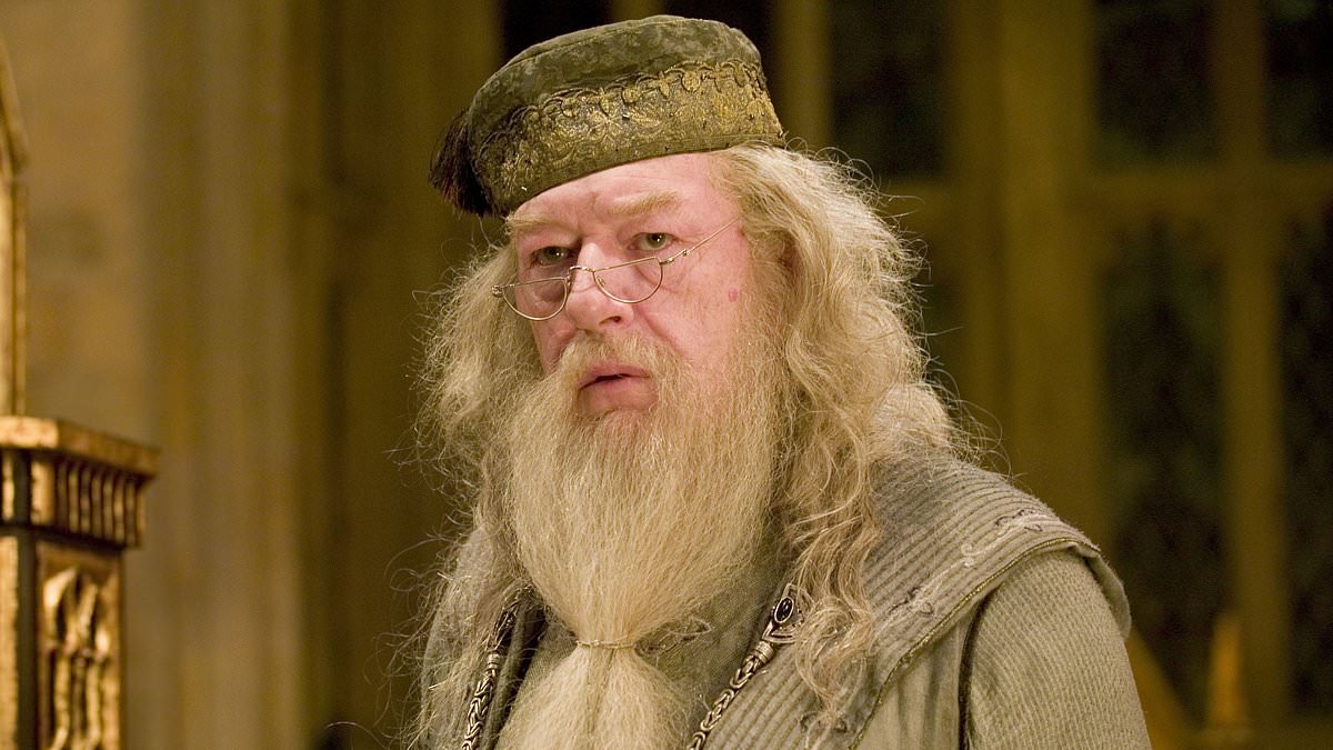 Harry Potter TV series launches search for men with VERY unusual feature to play wizards - so could you fit the bill?