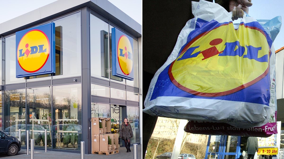 Lidl set to unveil 40 new stores across the UK this year in a £500m expansion drive
